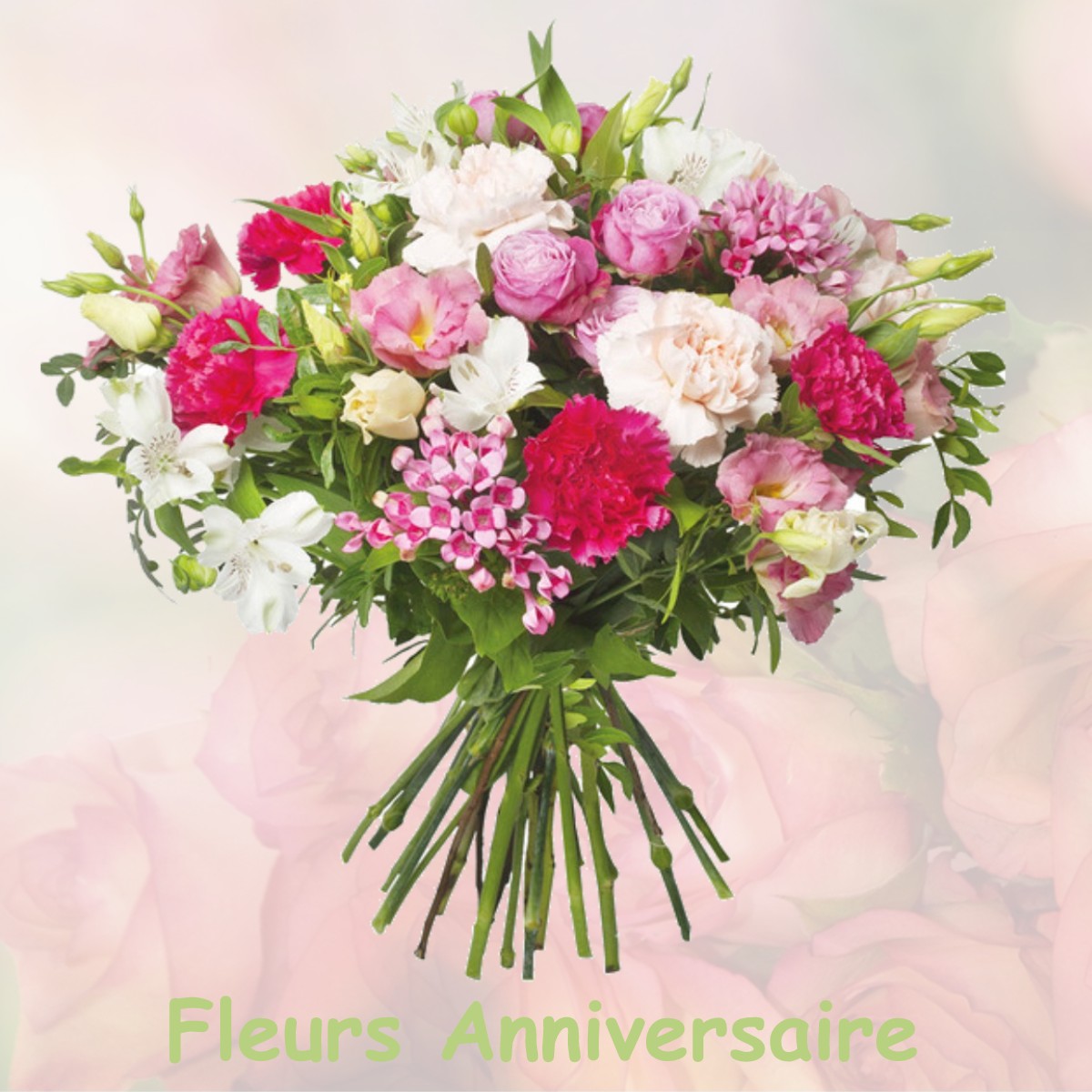 fleurs anniversaire MAISONS-LAFFITTE